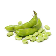 Wholesale Dix Farms Fava Beans 10lb- Bulk