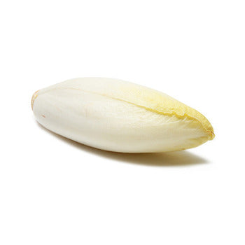 Wholesale Dix Farms Belgian Endive 10lb- Bulk