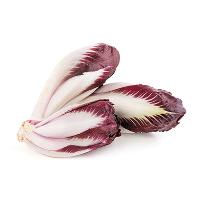 Wholesale Dix Farms Red Endives 8lb- Bulk