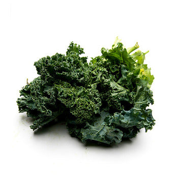 Wholesale Dix Farms Bunched Curly Kale Greens- Bulk