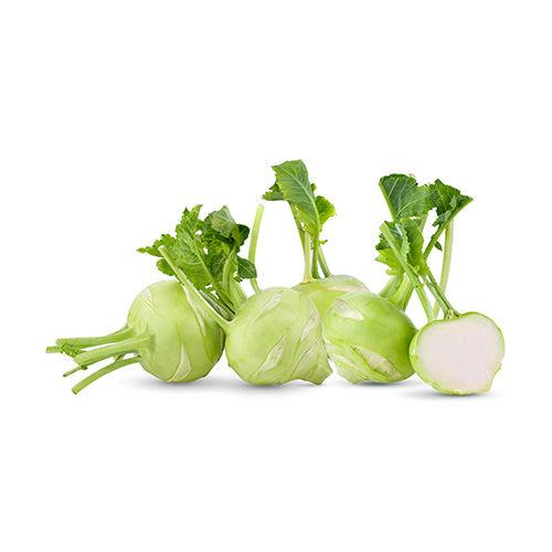 Wholesale Dix Farms Green Kohlrabi- Bulk