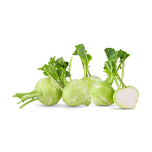 Wholesale Dix Farms Green Kohlrabi- Bulk