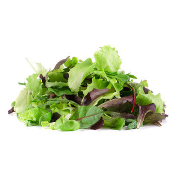 Wholesale Tanimura & Antle Artisanal Lettuce 8lb- Bulk