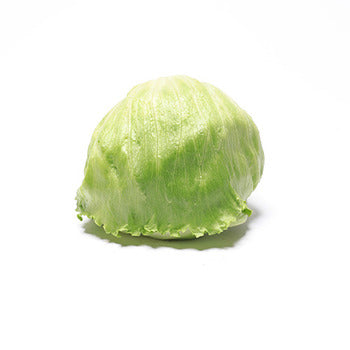 Wholesale Dix Farms Baby Iceberg Lettuce- Bulk