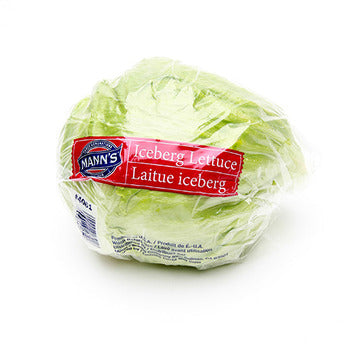 Wholesale Dix Farms Iceberg Lettuce- Bulk