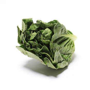 Wholesale Tanimura & Antle Artisinal Sweet Green Lettuce- Bulk