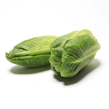 Wholesale Tanimura & Antle Artisinal Romaine Lettuce- Bulk