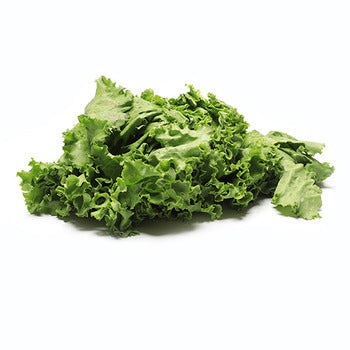 Wholesale Dix Farms Lettuce- Bulk
