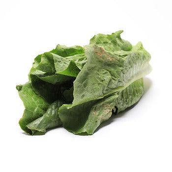 Wholesale Dix Farms Jumbo Romaine Hearts- Bulk