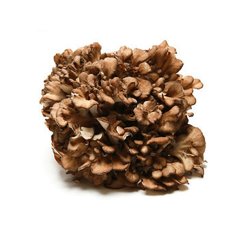 Wholesale Dix Farms Brown Maitake Mushrooms 3.5oz- Bulk