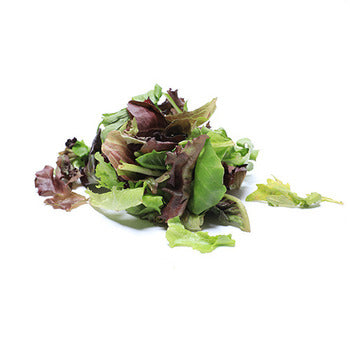 Wholesale Dix Farms Mesclun (Spring Mix) Greens 3lb- Bulk