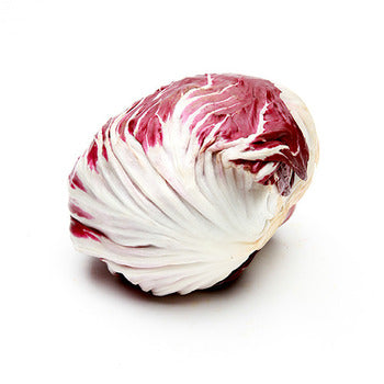 Wholesale Dix Farms Radicchio- Bulk