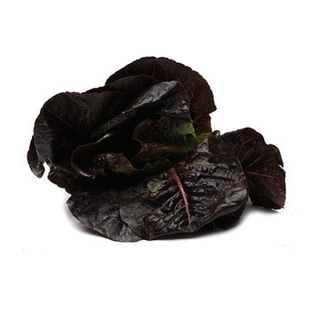 Wholesale Dix Farms Baby Red Gem Greens- Bulk