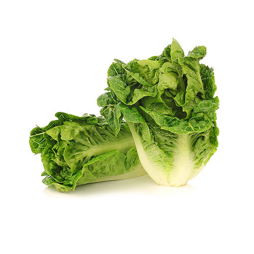 Wholesale Dix Farms Baby Green Gem Greens- Bulk
