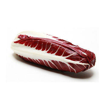Wholesale Dix Farms Trevisano Radicchio- Bulk