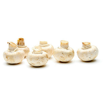 Wholesale Dix Farms White Button Mushrooms 10lb- Bulk