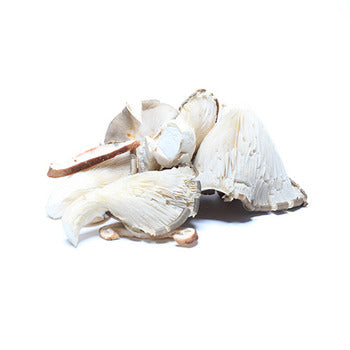 Wholesale Dix Farms Wild Sliced Blend Mushrooms 5lb- Bulk