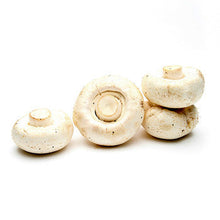 Wholesale Dix Farms Silver Dollar Mushrooms 10lb- Bulk
