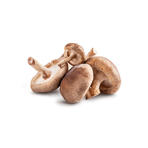 Wholesale Local Farm Shiitake Mushrooms 3lb- Bulk