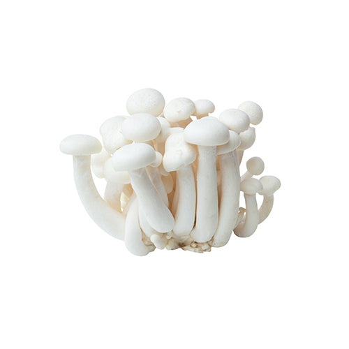 Wholesale Dix Farms Organic White Shimeji Mushrooms 3.5oz- Bulk