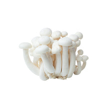 Wholesale Dix Farms Organic White Shimeji Mushrooms 3.5oz- Bulk