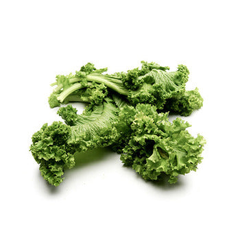 Wholesale Dix Farms Bunched Mustard Greens- Bulk