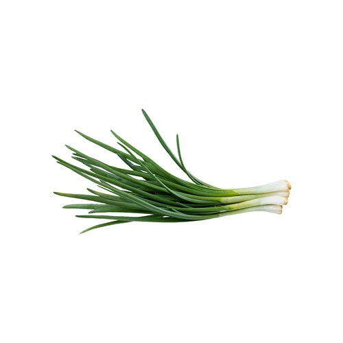 Wholesale Dix Farms Fresh Onion Spring White- Bulk