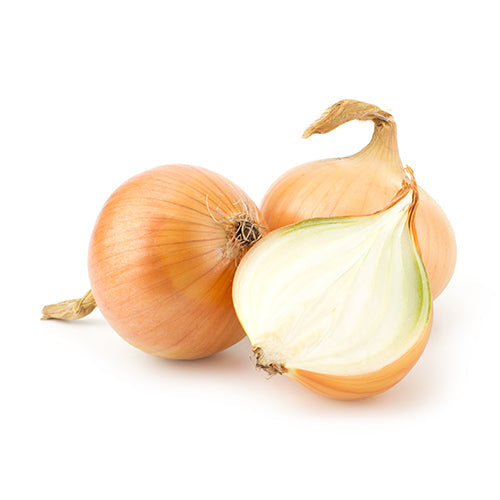Wholesale Dix Farms Sweet Onions 40lb- Bulk