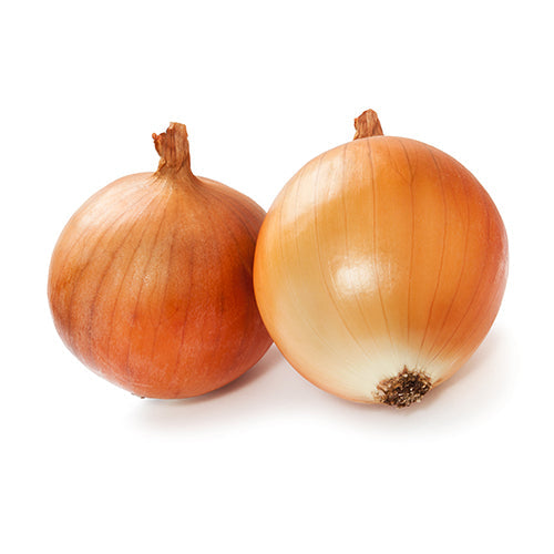 Wholesale Dix Farms Medium Onions 50lb- Bulk