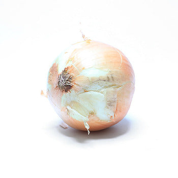 Wholesale Dix Farms Super Colossal Spanish Onions 50lb- Bulk