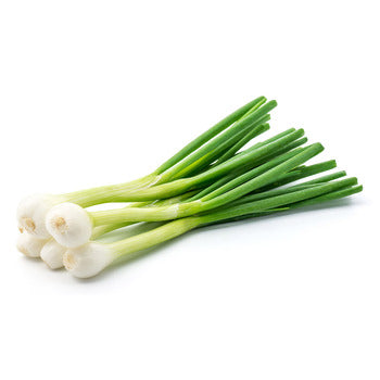 Wholesale Dix Farms Fresh Onion Spring Wild White 1lb- Bulk