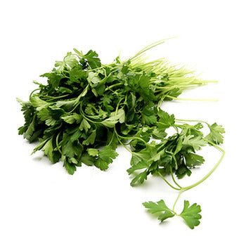 Wholesale Dix Farms Bunched Flat Italian Parsley- Bulk