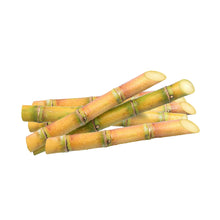 Wholesale Dix Farms Skewers Sugar Cane- Bulk