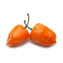 Wholesale Dix Farms Orange Habenaro Peppers 8lb- Bulk