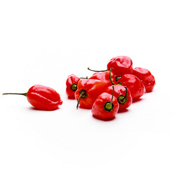 Wholesale Dix Farms Scotch Bonnet Peppers 8lb- Bulk