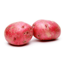 Wholesale Dix Farms Red B Potatoes 50lb- Bulk