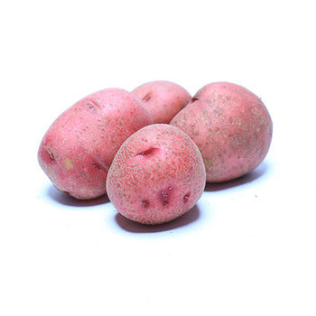 Wholesale Dix Farms Creamer Red Potatoes 50lb- Bulk