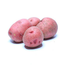 Wholesale Dix Farms Creamer Red Potatoes 50lb- Bulk