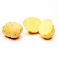 Wholesale Dix Farms Yukon Creamer Potatoes 50lb- Bulk