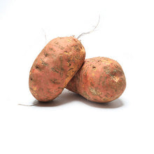 Wholesale Dix Farms Jumbo Sweet Potatoes 40lb- Bulk