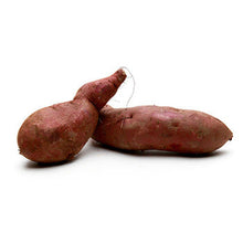 Wholesale Dix Farms Japanese Sweet Yams 40lb- Bulk