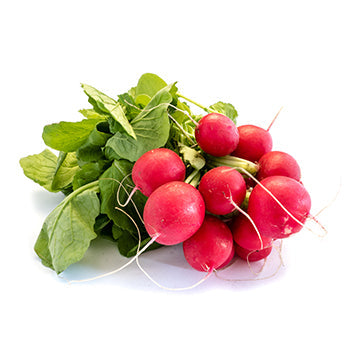 Wholesale Dix Farms Bunched Radishes- Bulk