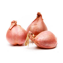 Wholesale Dix Farms Shallots 10lb- Bulk