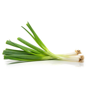 Wholesale Dix Farms Scallion Green Onion- Bulk