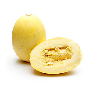 Wholesale Dix Farms Spaghetti Squash- Bulk