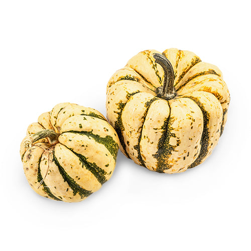 Wholesale Dix Farms Sweet Dumpling Squash- Bulk