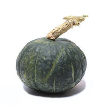 Wholesale Dix Farms Kabocha Squash- Bulk