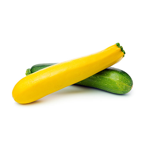 Wholesale Dix Farms Fancy Zuchini Squash- Bulk