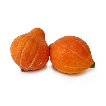 Wholesale Dix Farms Red Kuri Squash- Bulk