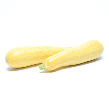 Wholesale Dix Farms Yellow Summer Squash- Bulk